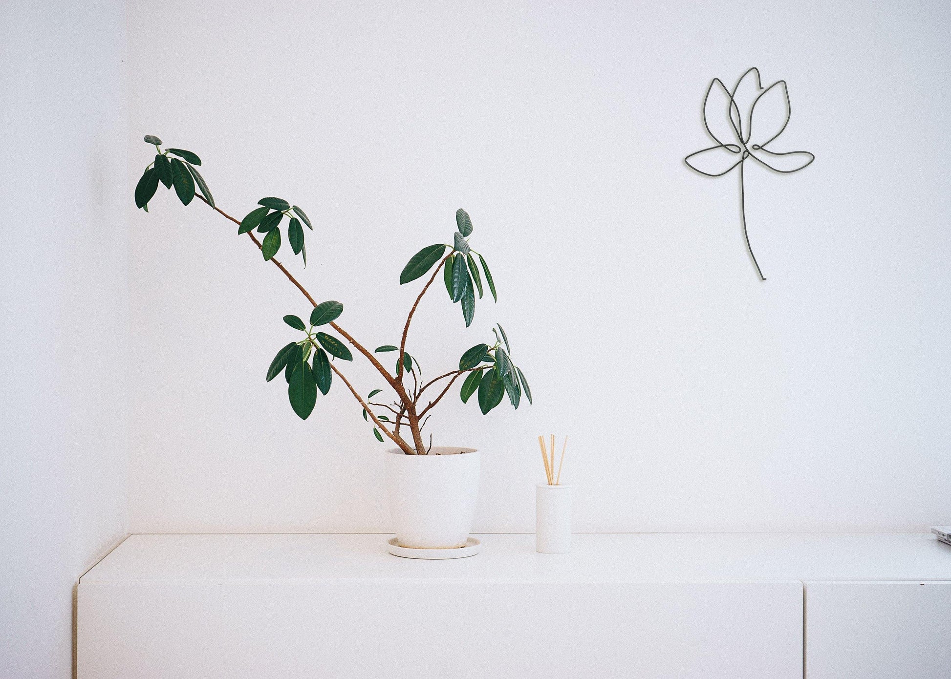 Botanicals - Briar Rose Wire