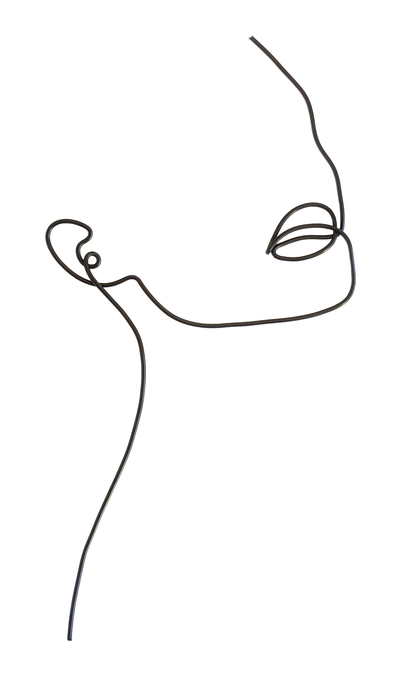 B-Face - Briar Rose Wire