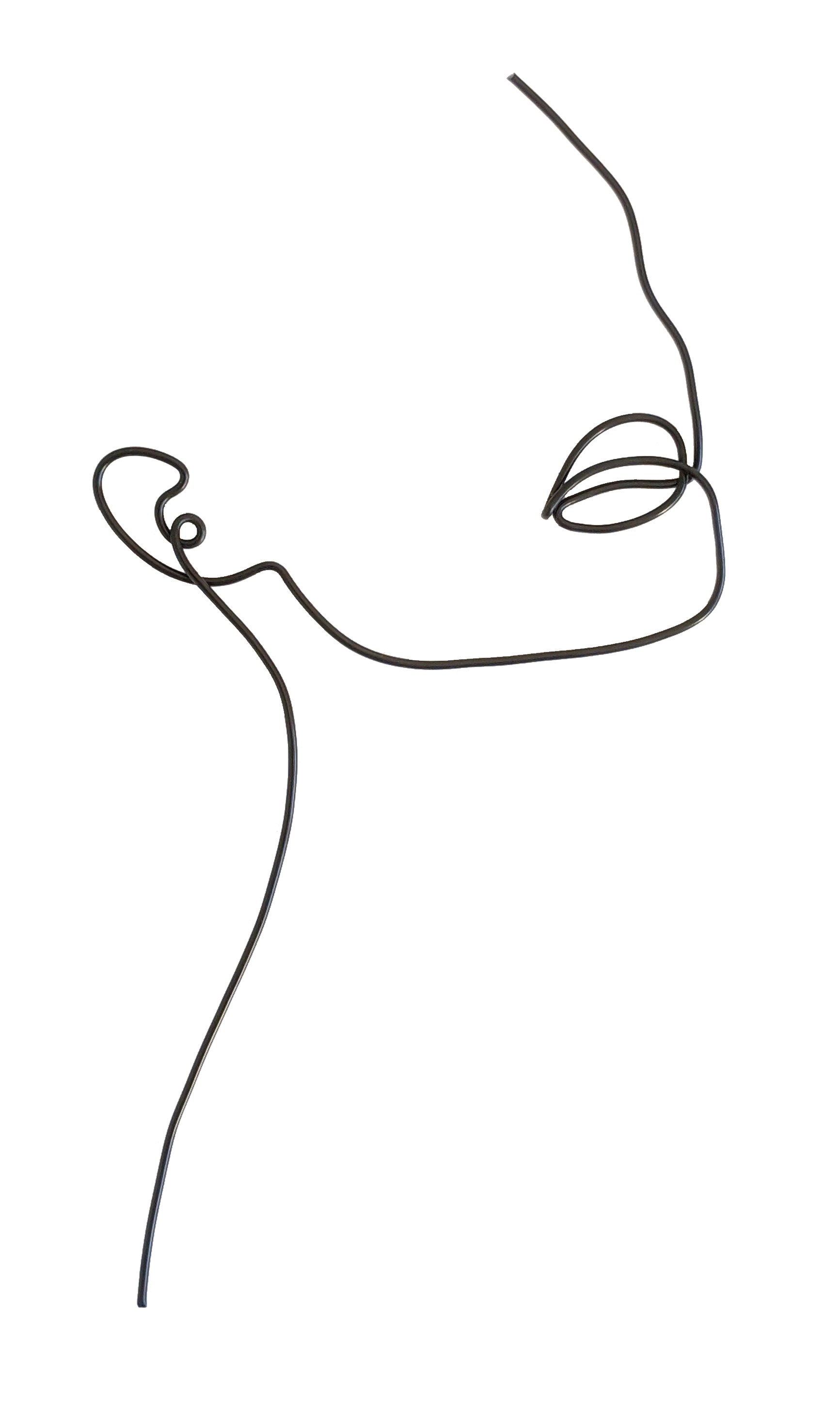 B-Face - Briar Rose Wire