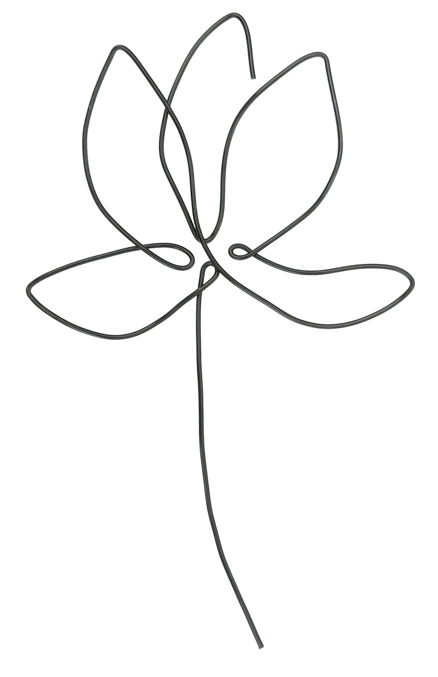 Chestnut Leaf - Briar Rose Wire