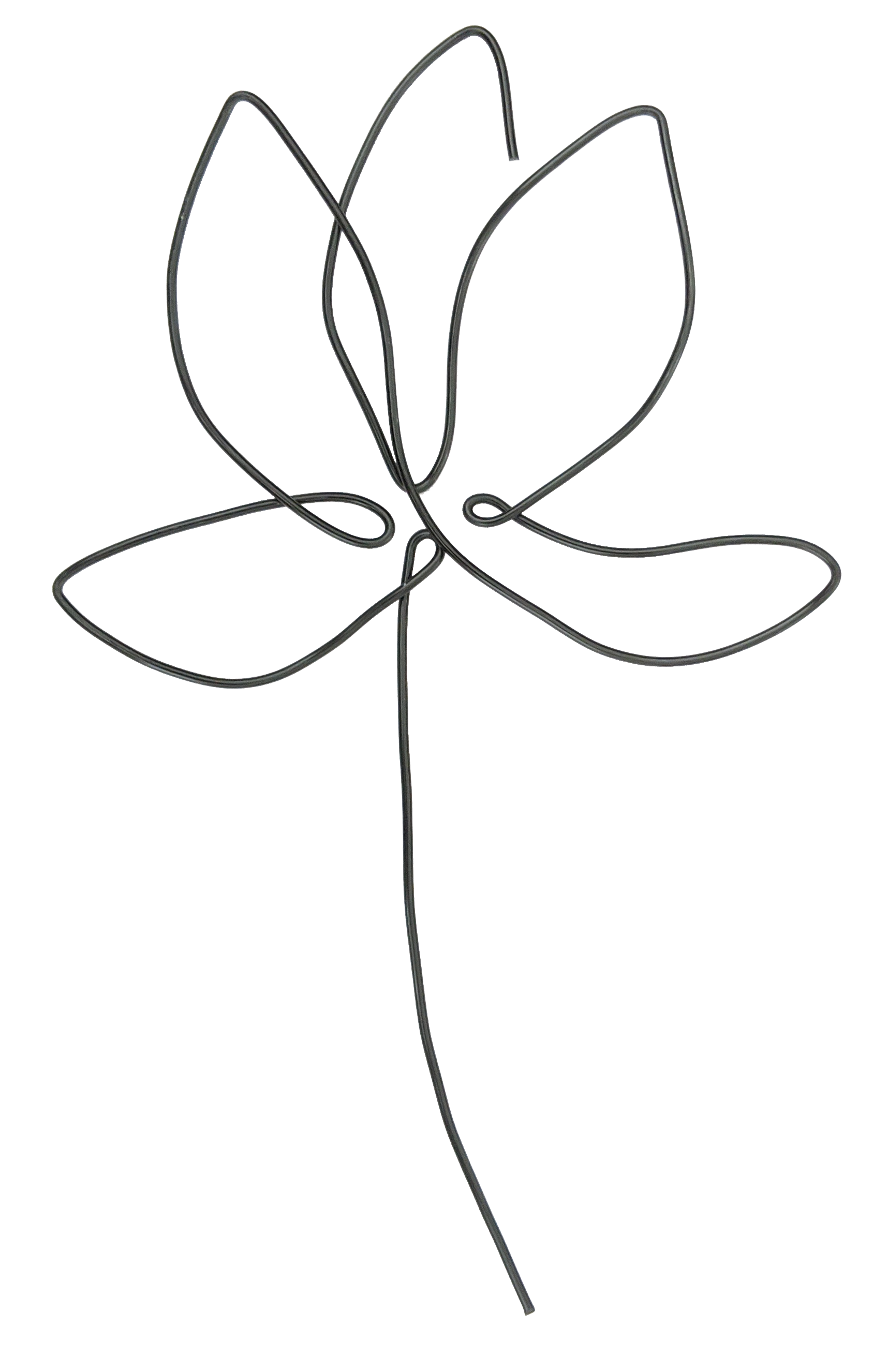 Chestnut Leaf - Briar Rose Wire