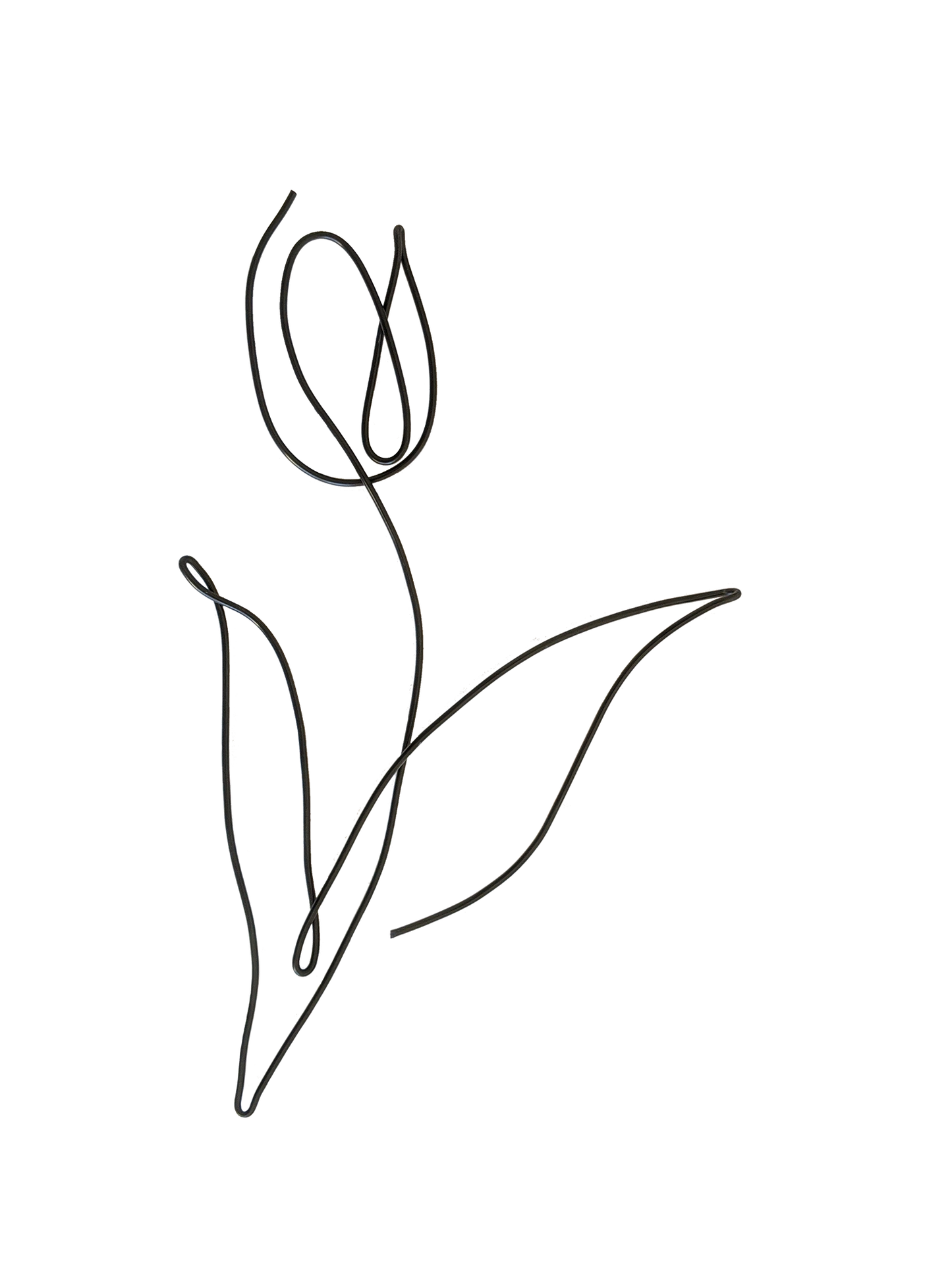 Tulip - Briar Rose Wire