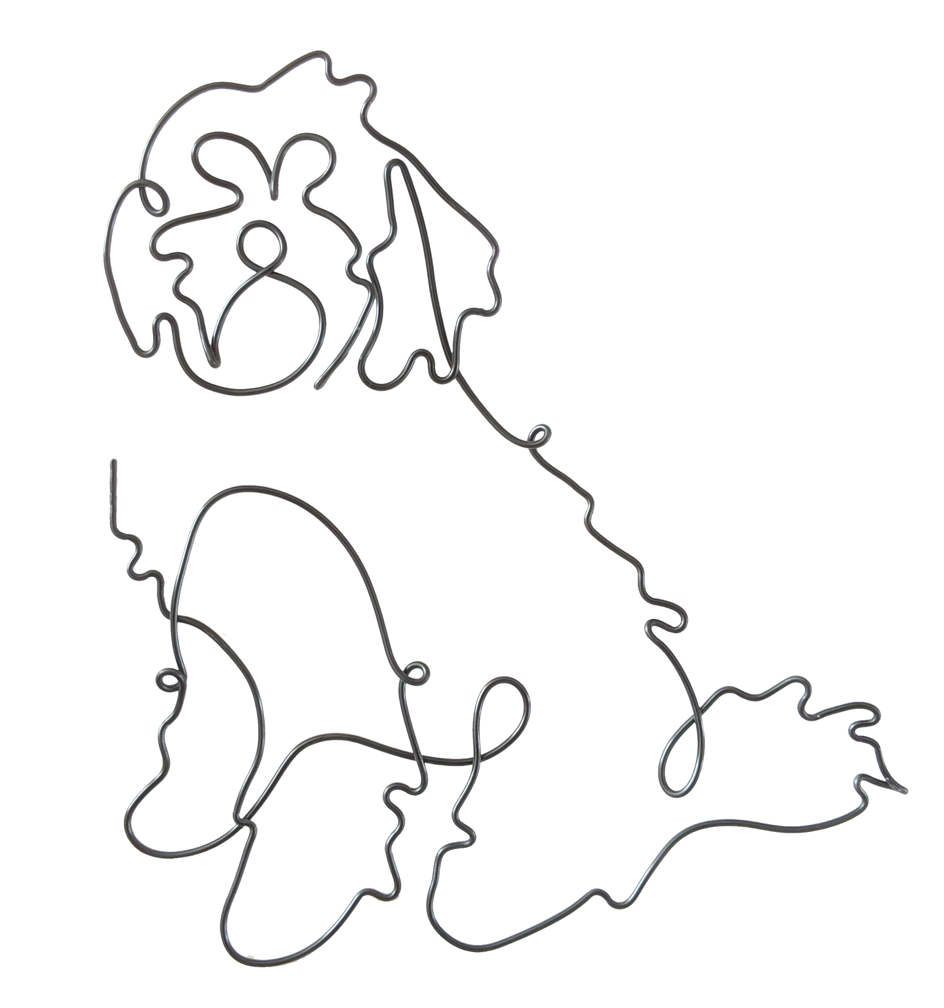 Poodle Cross - Briar Rose Wire