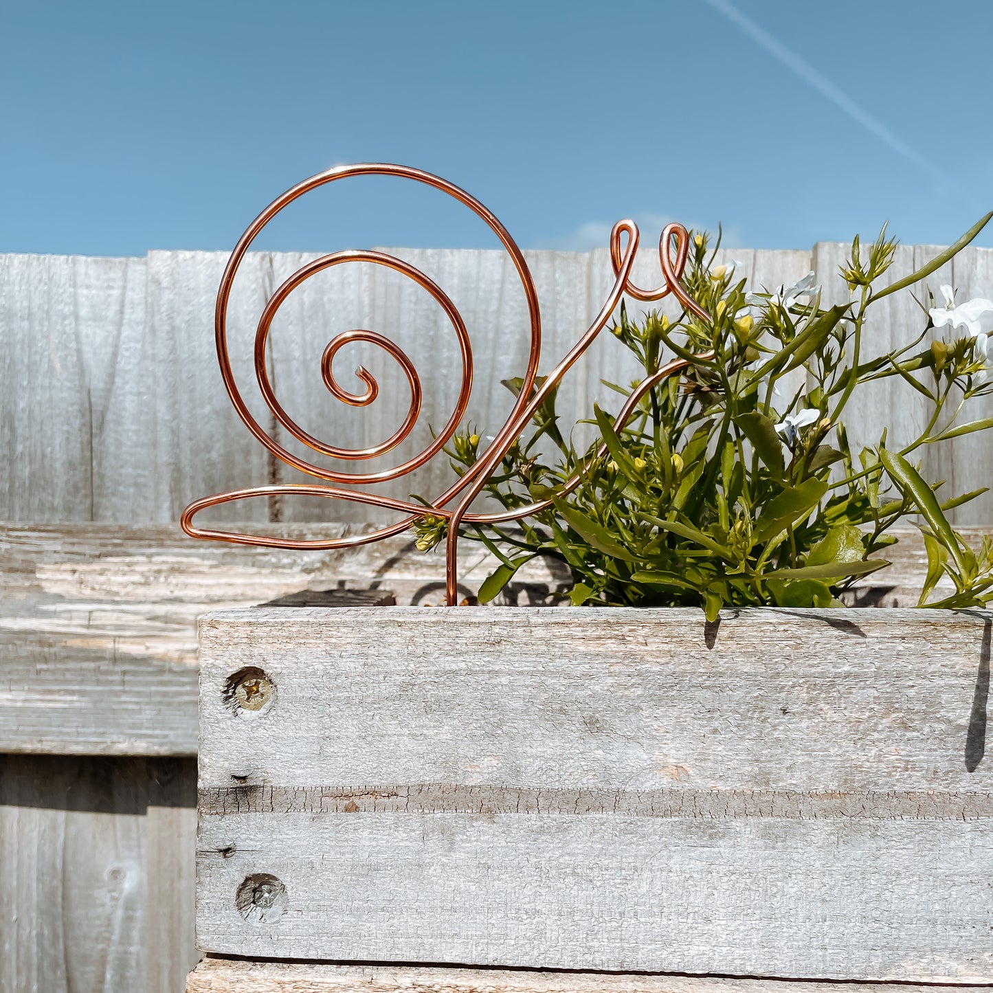 Decorative Snail Plant Pot Stick